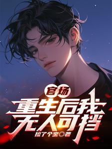 重生无敌官场