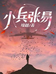 小兵张嗄人物关系图