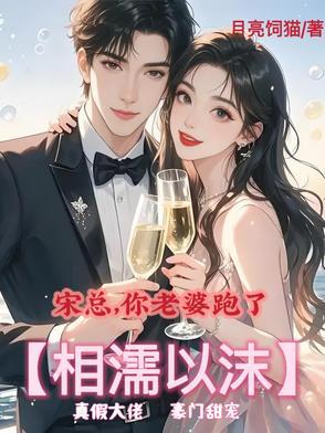 总裁您老婆又跑了