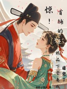 首辅家的小娘子全文