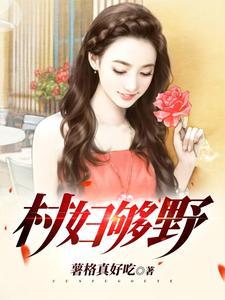 村野是什么意思