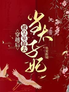 将军与小公子