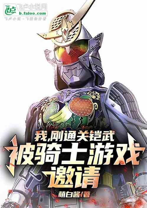 铠武骑士大全