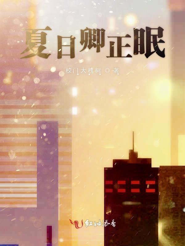 夏日倾情全文免费阅读盛知夏