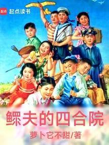 鳏夫的四合院起点