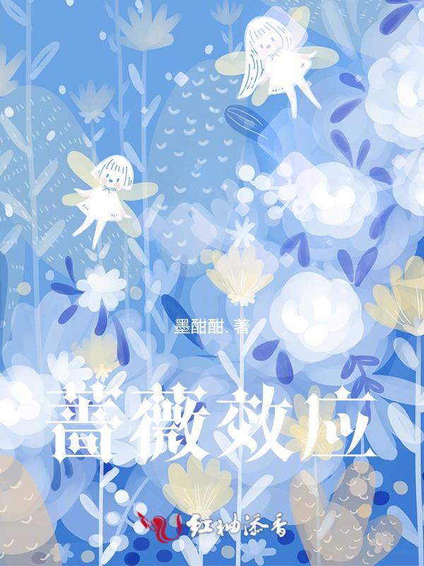 蔷薇的定义
