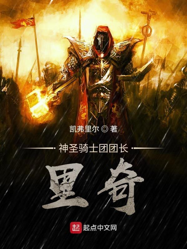 神圣骑士01
