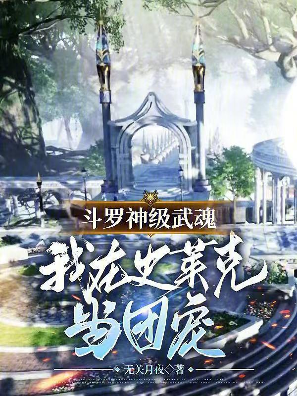 斗罗大陆之我有神级武魂