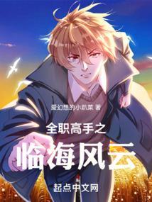 全职高手 !