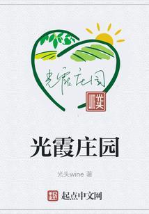 庄园之光