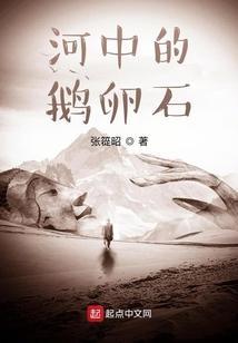 河里的鹅卵石