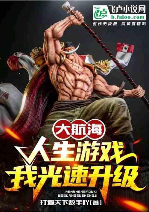 我想看航海王罗宾