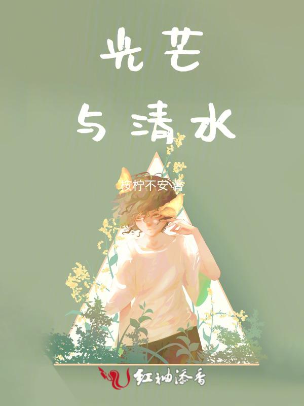 光芒讲什么的