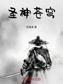 苍穹圣主谁写的