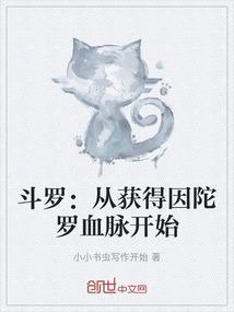 从斗罗开始获得选择