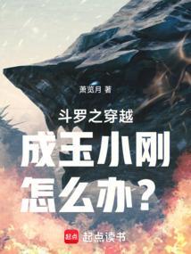 斗罗之穿越成玉小刚怎么办免费版