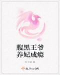 腹黑王爷王妃要休夫全文免费阅读