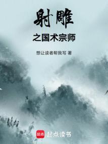 射雕系统