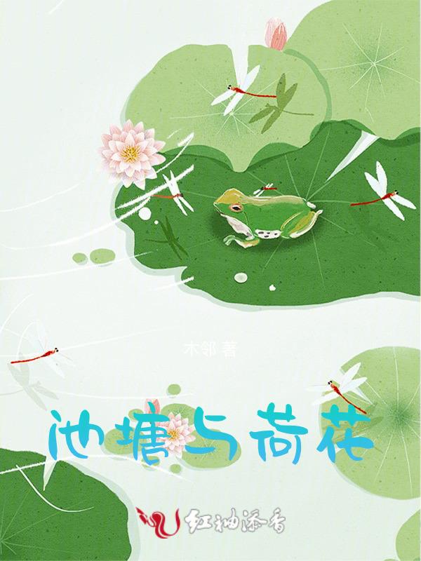 池塘荷花的优美句子