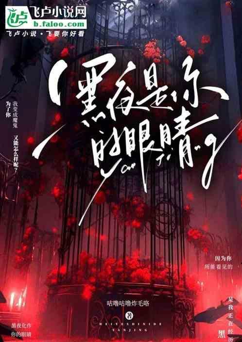 黑夜是什么的眼睛