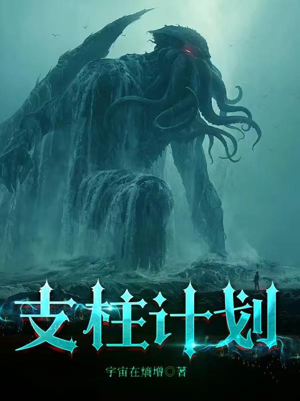 双支柱计划