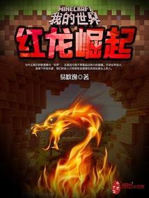 我的世界dragonarmourers