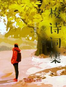 岁月如梭快如风全诗