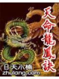 天命龙神鱼飞