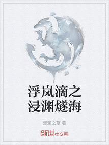 浮岚是什么意思