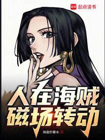 从海贼开始的磁场转动