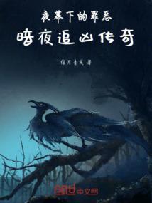 暗夜追击剧情介绍