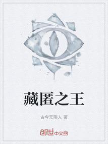 藏匿之泪 bug