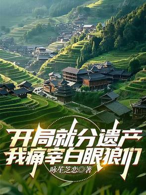 开局遗愿