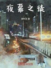 夜幕之翼图片