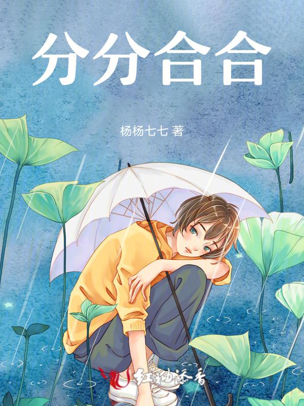 分分合合下一句