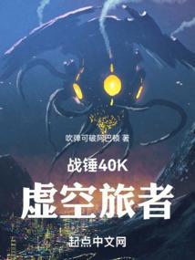 战锤 虚空盾
