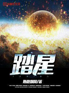 踏星大天尊身份是什么