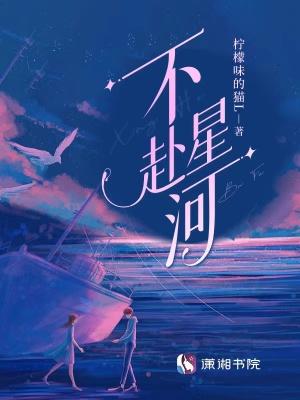 星河不入眼的对应网名