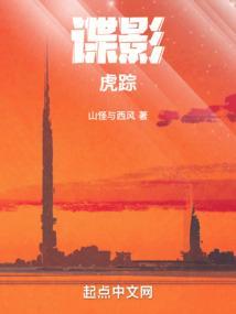 谍影迷踪