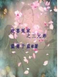 欢喜冤家好兄弟电视剧