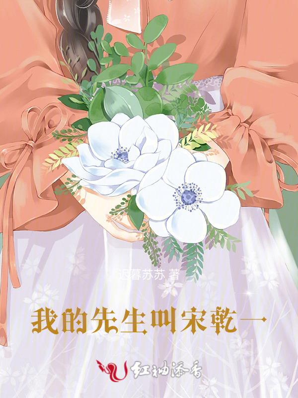 我的什么先生