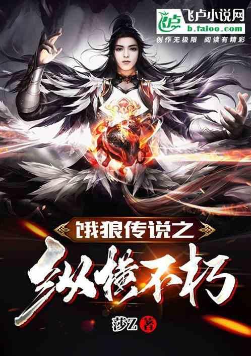 饿狼传说版本