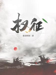 权征途叶峰沈秋怡最新章节免费阅读